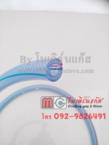 IMG_20140901_082930_wm